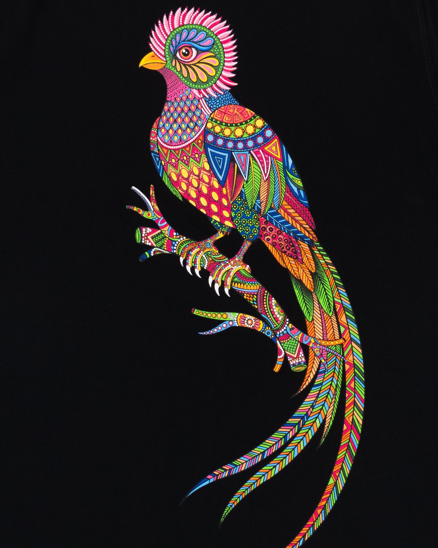 Blusón de picos Quetzy Tinta Shimmer